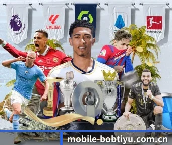 BOB博鱼体育 APP